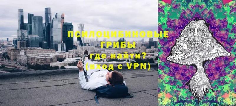 Псилоцибиновые грибы мухоморы  ОМГ ОМГ tor  Нарьян-Мар  наркота 